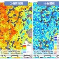 森林経営健全化プロジェクト開始